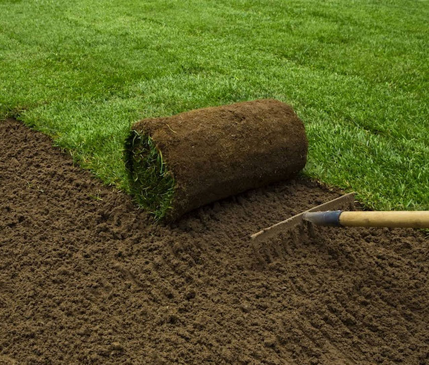 Lawn Laying