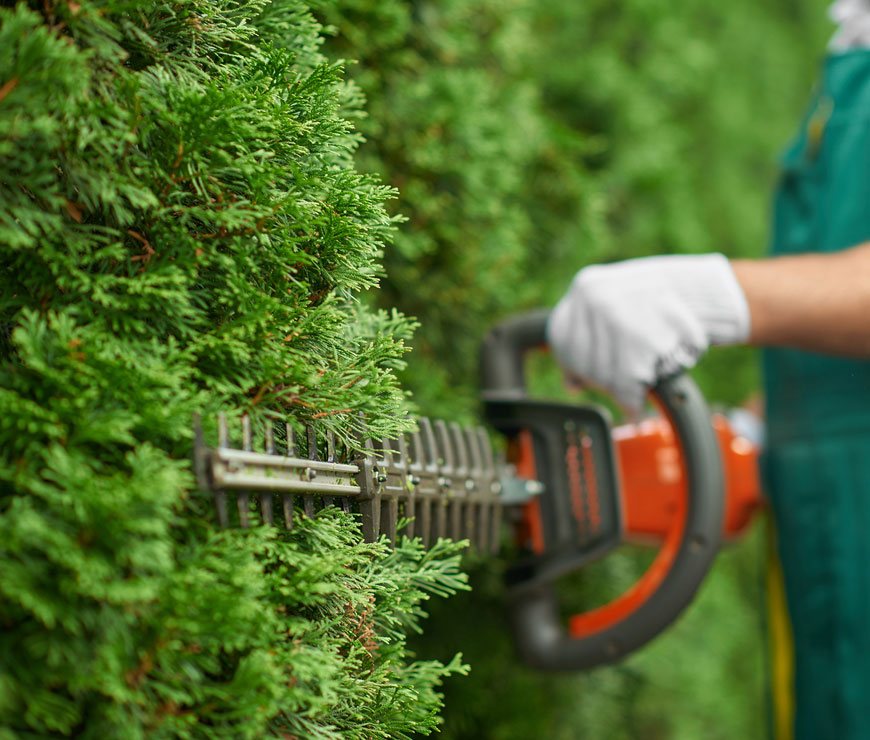 Spring & Fall Cleanup